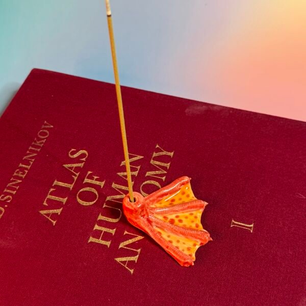 Canard encensants orange